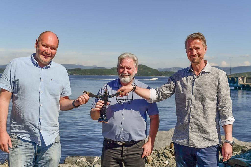 Green Mountain and Norwegian Lobster Farm