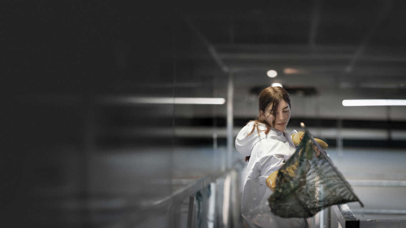 Working in Hima Seafood