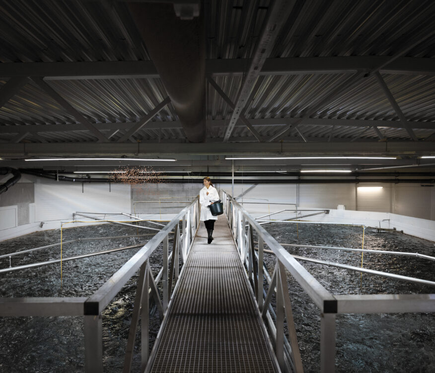 Working in Hima Seafood